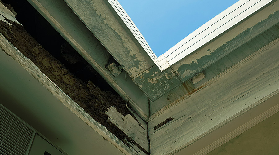 close up of wood destroyed by termites