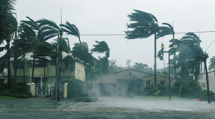 houses and palm trees being affected by hurricane winds